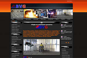 BV Group