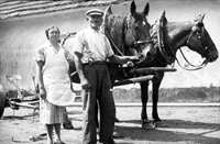 Vejprnice