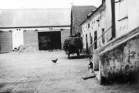 Vejprnice