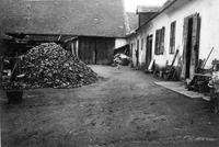 Vejprnice