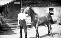 Vejprnice