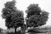 Vejprnice
